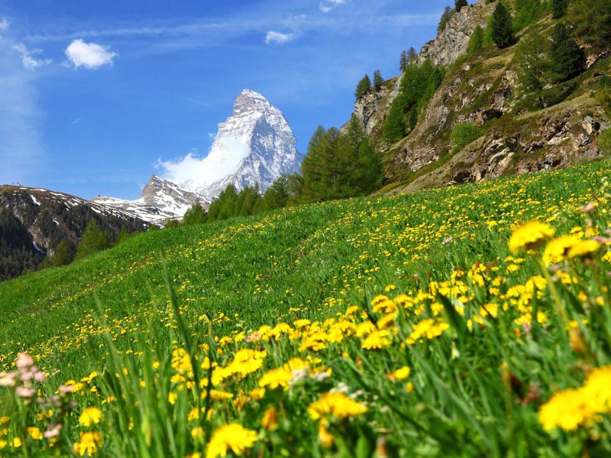 Apartment La Prairie By Interhome Zermatt Zewnętrze zdjęcie
